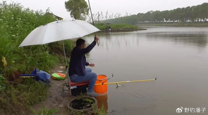 开运体育下载-老祖宗传的24字钓鱼谚语，吃透了，春夏秋冬钓啥鱼都不白跑|太阳|钓鱼技巧|水温|雨后|深水区_新浪体育_新浪新闻